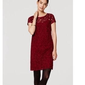 Burgundy Lace Dress - LOFT - 00